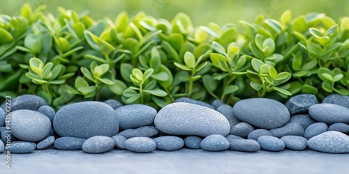 Wallpaper Mural Grey Stones and Lush Green Foliage Border Torontodigital.ca