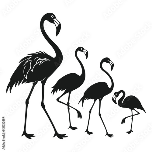 Vector Illustration of Flamingo Silhouette Set Featuring Graceful and Elegant Birds in Various Poses for Wildlife, Nature, and Decorative Art Projects
