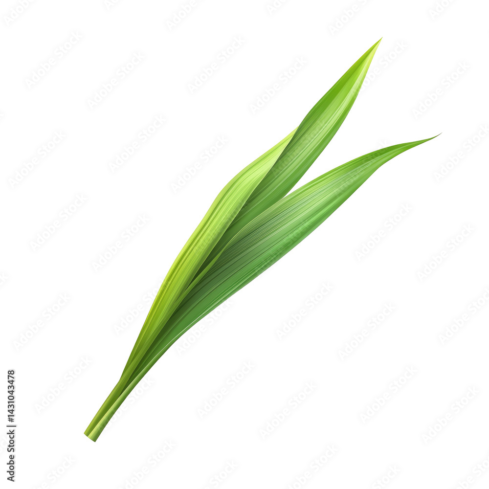 Two vibrant green leaves Two vibrant green leaves