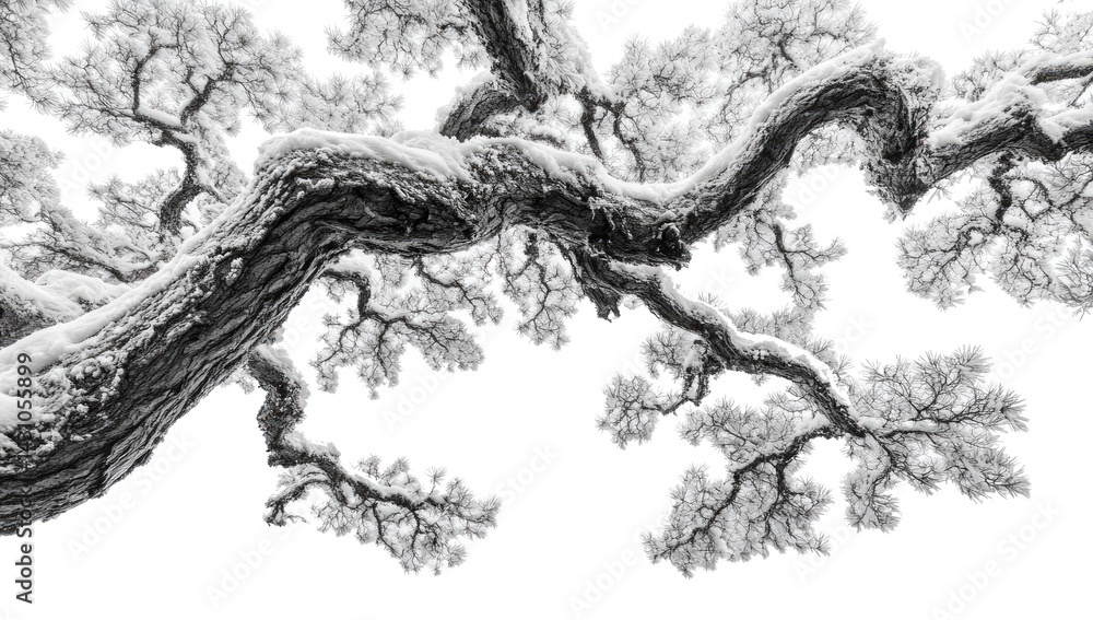 Fototapeta premium Snow Covered Tree Branch Against White Sky Winter Scene