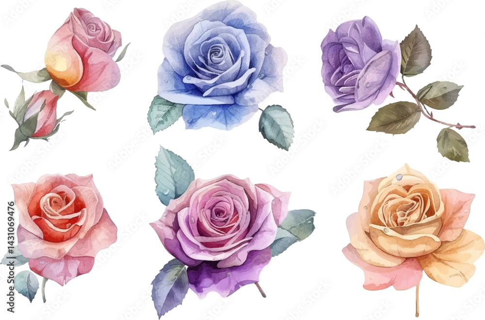 Fototapeta premium set of roses vector illustration