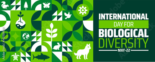 International Day for Biological Diversity Geometric shape pattern background banner or poster design template. observed every year in May. Holiday concept. Use to any Template, card, poster, placard
