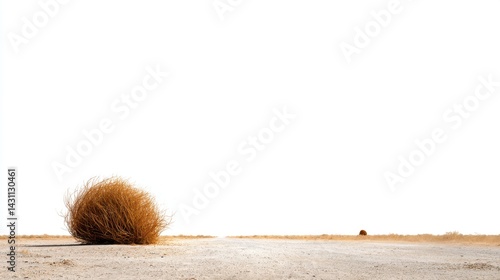 Tumbleweed on a dusty road in arid landscape under bright sunlight capturing the desolation and isolation of the desert with a minimalist and serene visual style