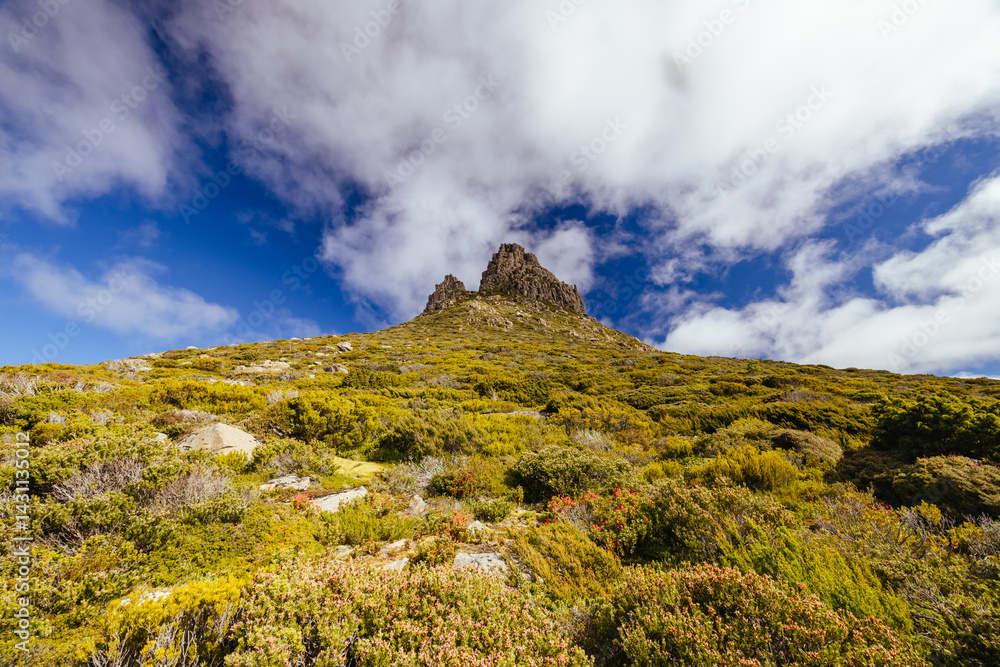 Views around Mt Ossa in Tasmania Australia