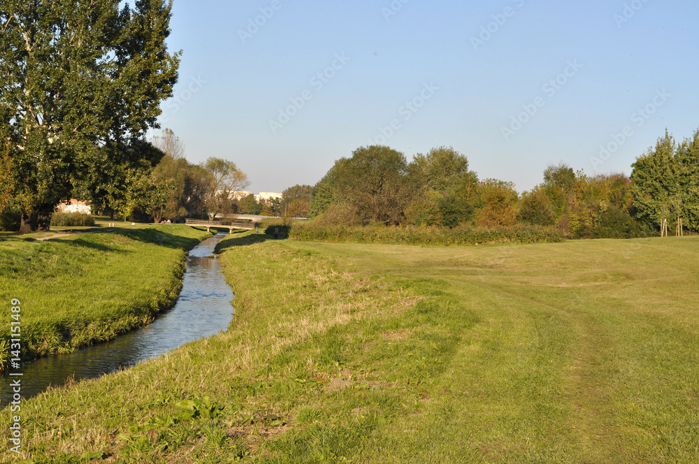 meadow lawn in the middle of the city sunlit grass and stream