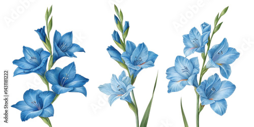 Beautiful blue gladiolus flowers bloom gracefully, showcasing their vibrant petals and elegant stems in stunning floral arrangement