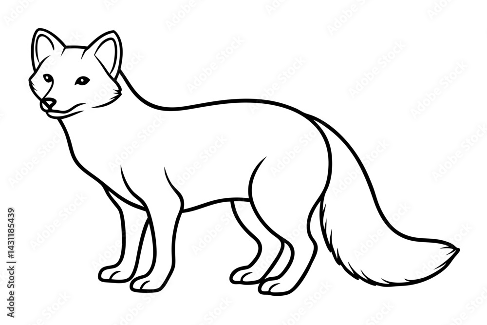 Wild Arctic Fox Vector Wild Arctic Fox Vector