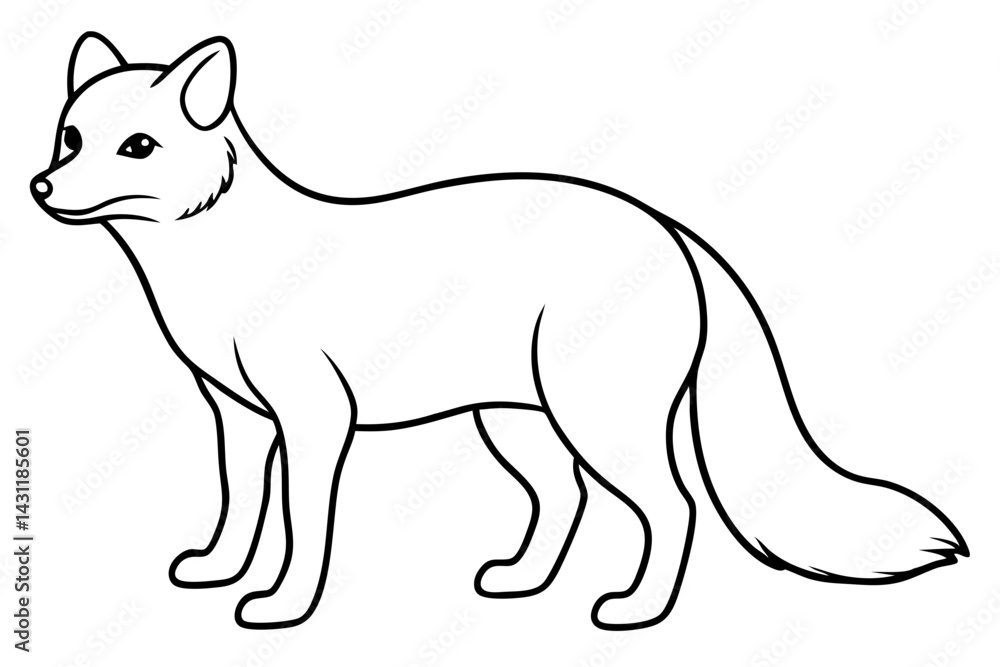 Obraz premium Wild Arctic Fox Vector