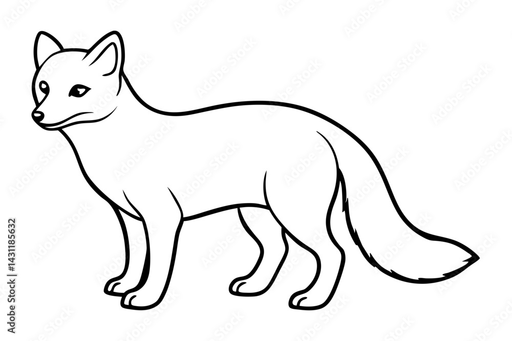 Fototapeta premium Wild Arctic Fox Vector