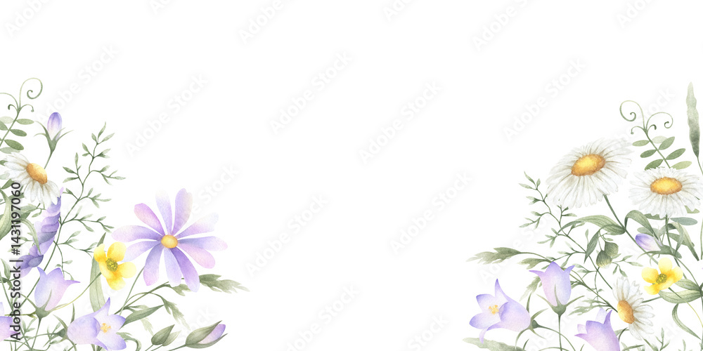 Watercolor wildflowers chamomile, bellflower, buttercup, mouse pea and meadow grasses. Hand drawn isolated rectangular horizontal frame illustration of yellow lilac flowers with copy space, banner. Watercolor wildflowers chamomile, bellflower, buttercup, mouse pea and meadow grasses. Hand drawn isolated rectangular horizontal frame illustration of yellow lilac flowers with copy space, banner.