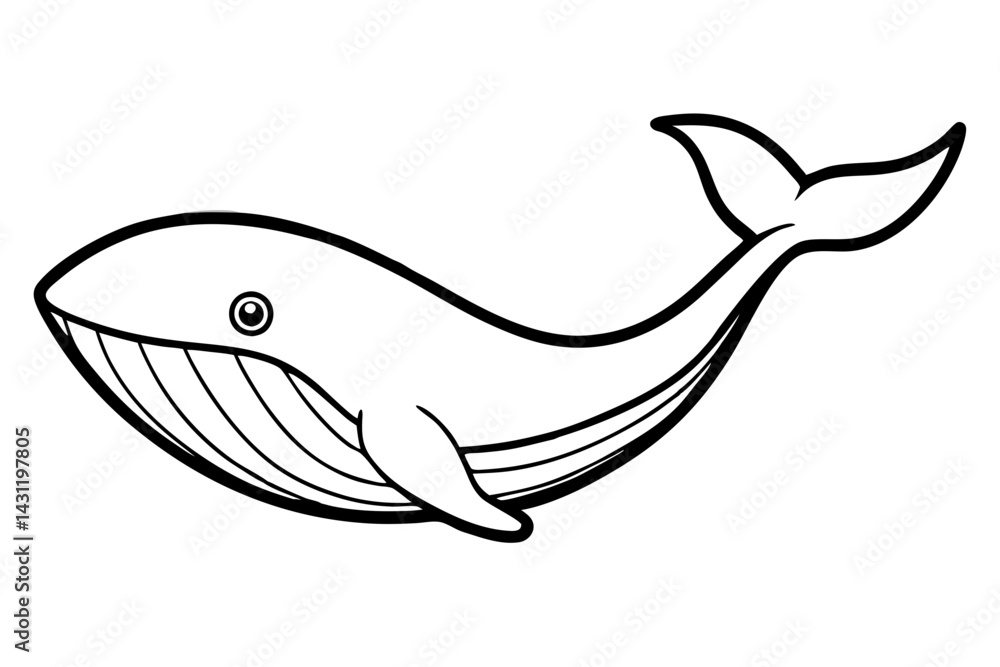 Fototapeta premium Whale Outline Illustration