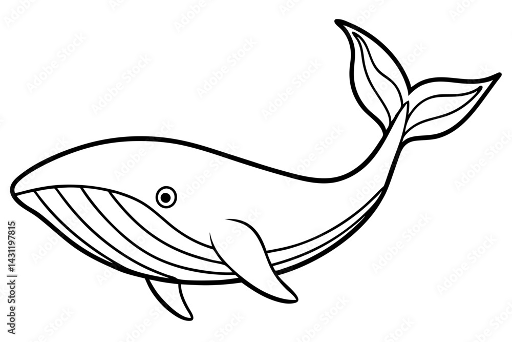 Fototapeta premium Whale Outline Illustration