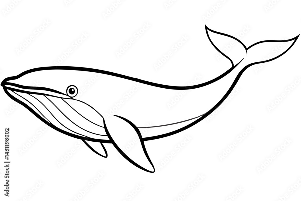 Obraz premium Whale Outline Illustration