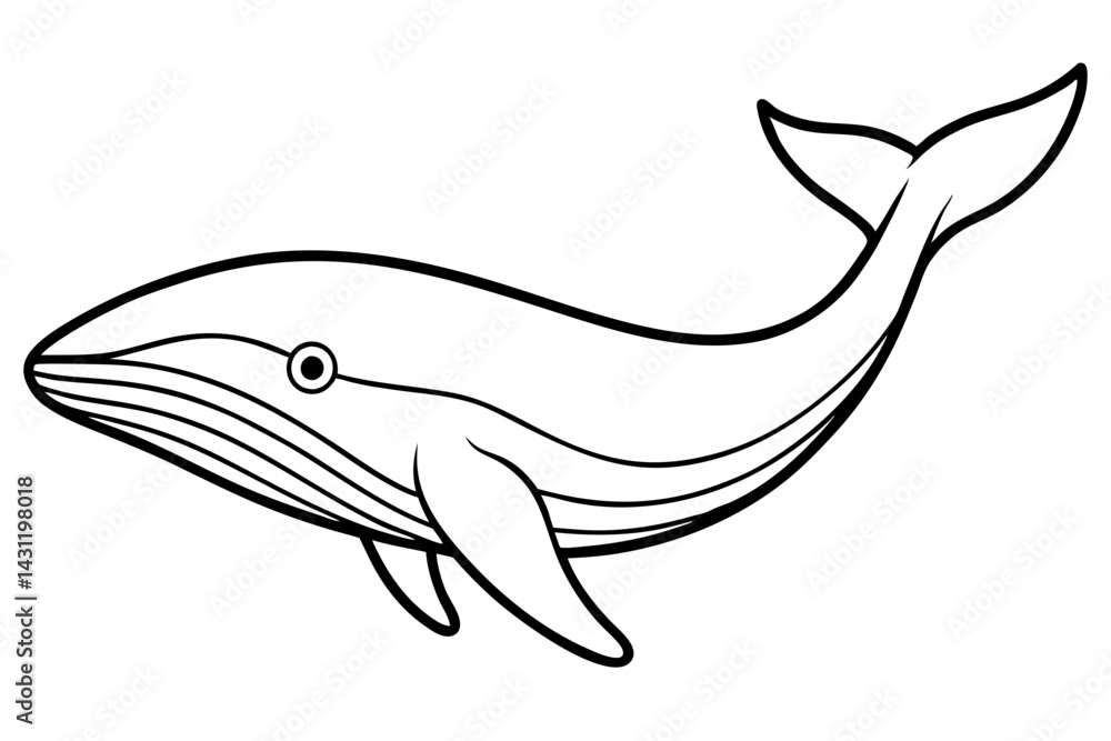Fototapeta premium Whale Outline Illustration
