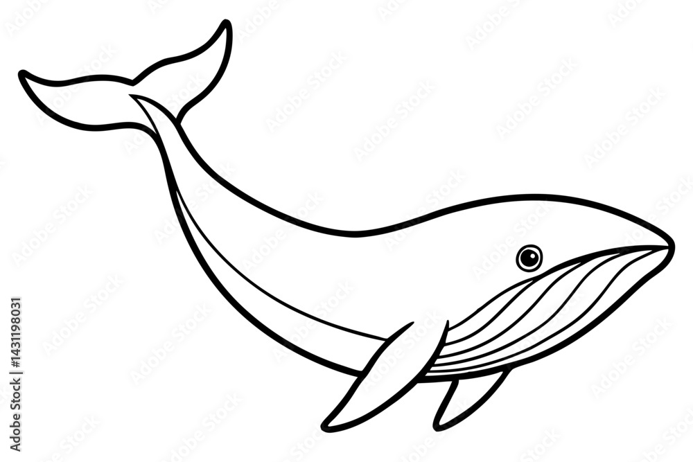 Obraz premium Whale Outline Illustration