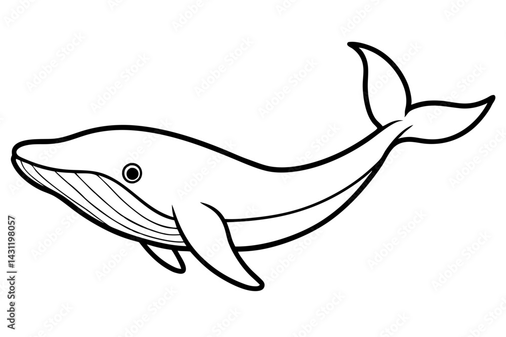 Fototapeta premium Whale Outline Illustration