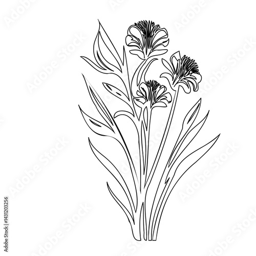 Elegant floral line art illustration displaying botanical simplicity and grace