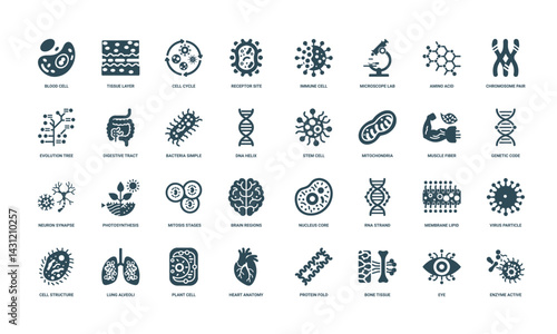 collection biology-themed icons cellular processes anatomical structures molecular components, Photosynthesis Nucleus Mitosis Brain