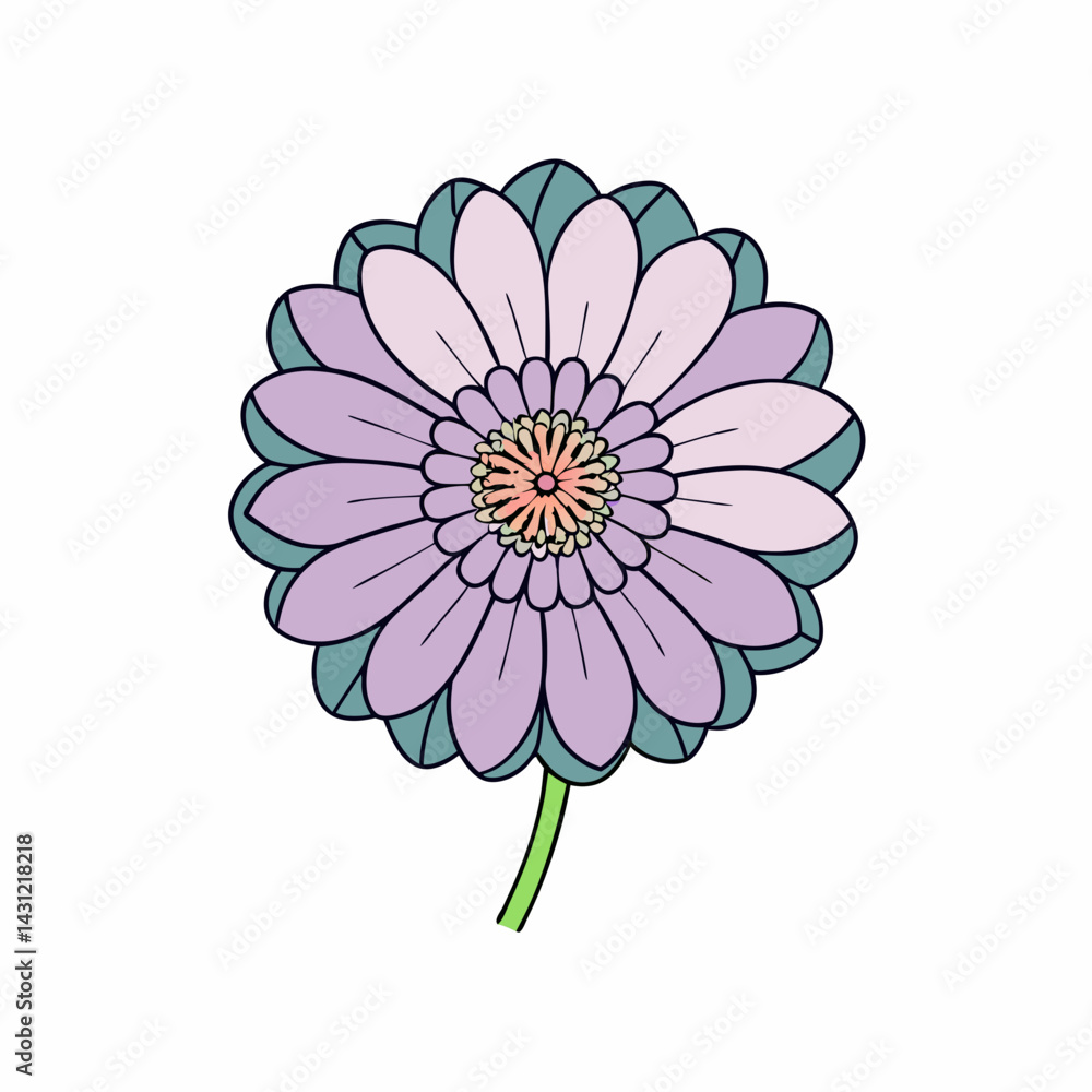 Fototapeta premium pink daisy flower