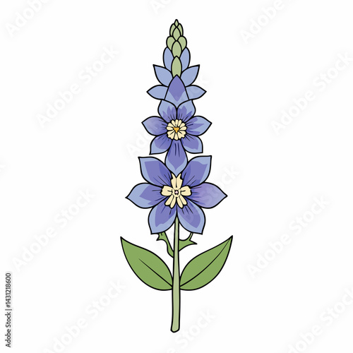 forget me not