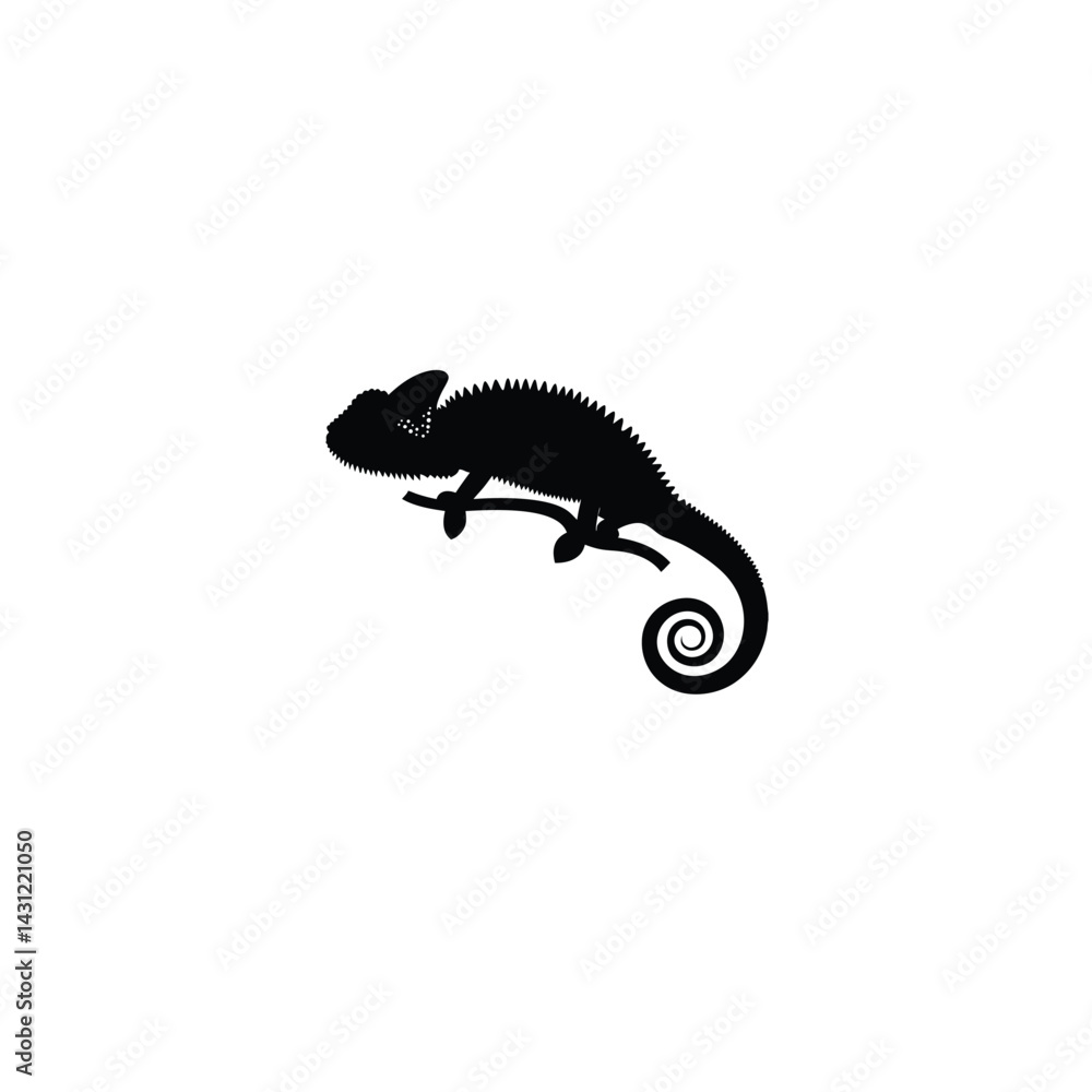Fototapeta premium chameleon silhouette on white background