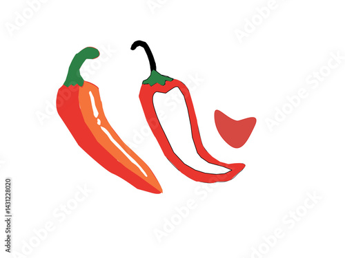 hot chili pepper. Red chili pepper hand drawn illustration. Vibrant red chili pepper illustration. Hand drawn red chili pepper. Red chili pepper doodle. Red chili pepper background.