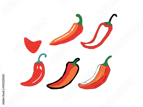 hot chili pepper. Red chili pepper hand drawn illustration. Vibrant red chili pepper illustration. Hand drawn red chili pepper. Red chili pepper doodle. Red chili pepper background.