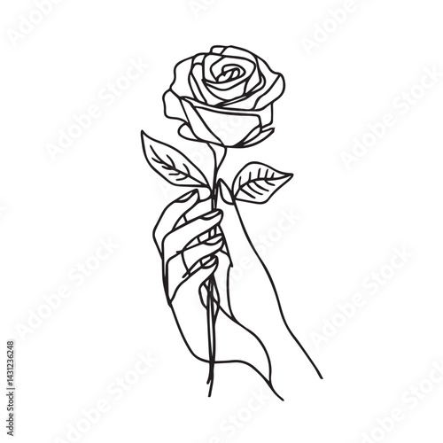 Elegant Rose: Line Art Flower Illustration with Transparent Background