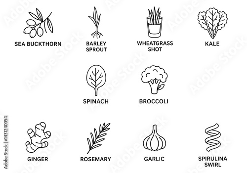 antioxidant extracts supplement aesthetic concept. Various superfoods illustrated in a grid format.
