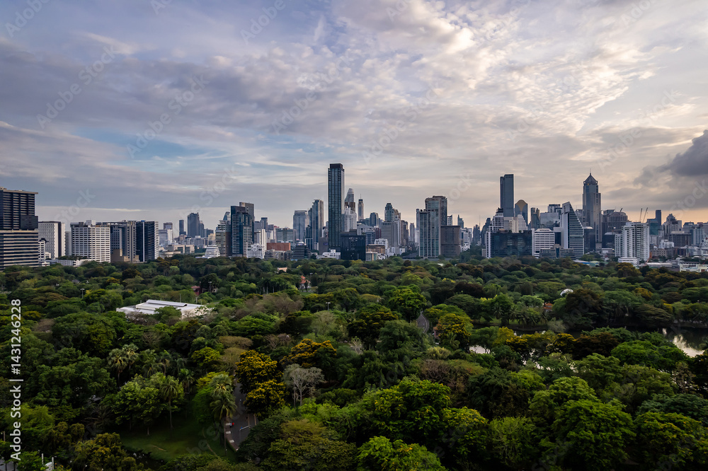 Fototapeta premium Beautiful Aerial view Green Park With Downtown Skyscrapers Background.