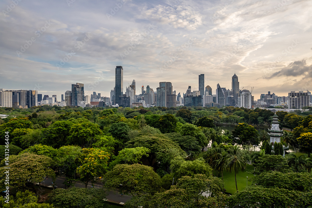 Obraz premium Beautiful Aerial view Green Park With Downtown Skyscrapers Background.