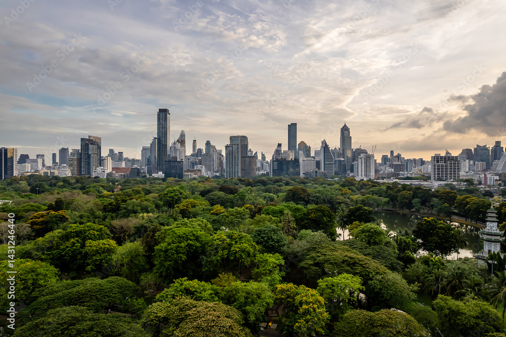 Fototapeta premium Beautiful aerial view of green park with a city skyline featuring numerous tall buildings in the heart of a metropolis, beneath a cloudy sky.