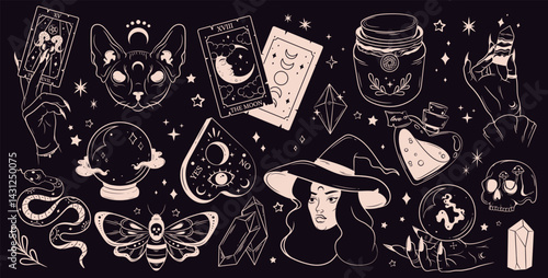 Mystical and witchcraft hand drawn elements. Skull,tarot cards, hand, witch, potion, cat, fortune ball. Halloween stickers set.