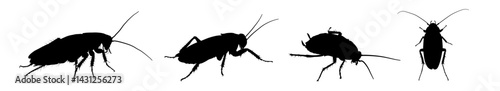 set of cockroach silhouettes – vector illustration