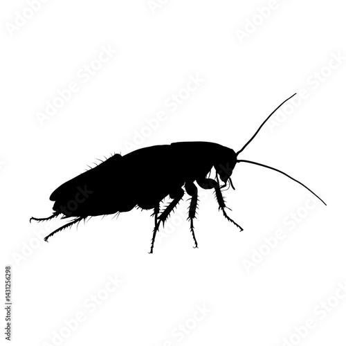 cockroach silhouette – vector illustration