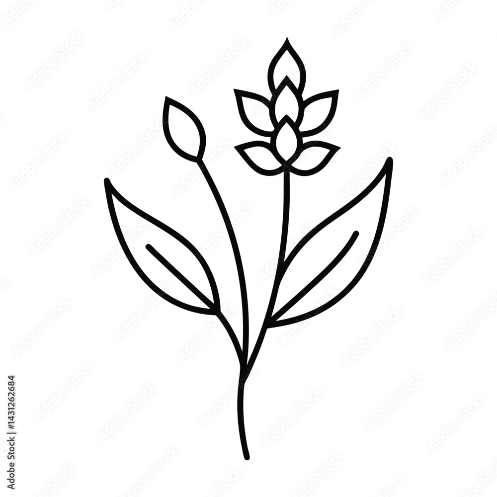 Eco Essence: Simple Vector Drawing of Milkweed Blossoms Eco Essence: Simple Vector Drawing of Milkweed Blossoms