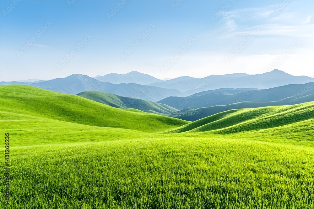 Fototapeta premium Rolling green hills under a clear blue sky with distant mountains