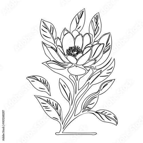Elegant waterlily illustration radiating calmness and botanical simplicity, a design element