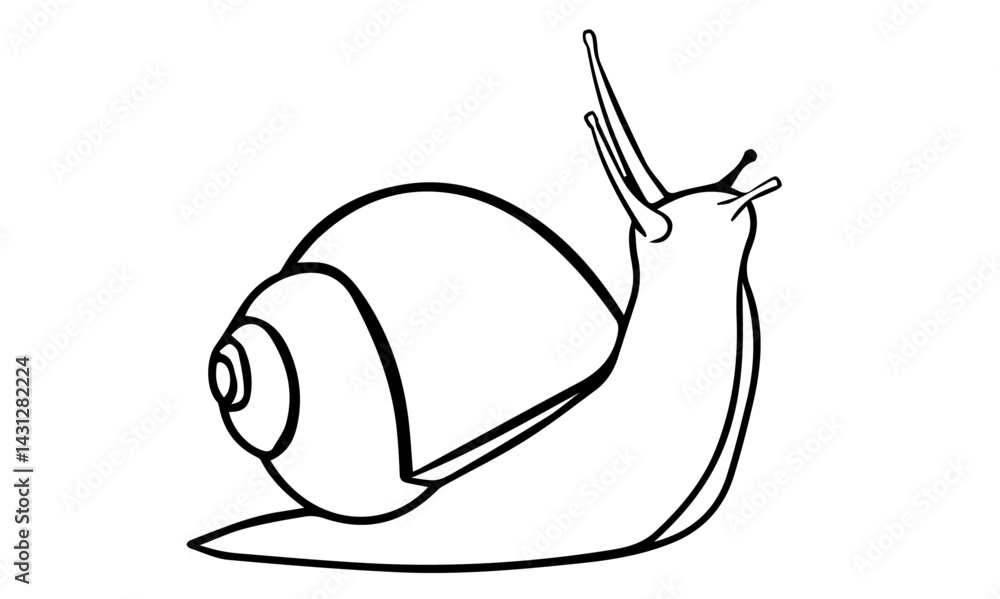 Fototapeta premium snail on a white background