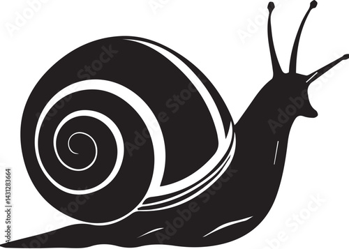 snail isolated on white background - Anatomical Heart Line
