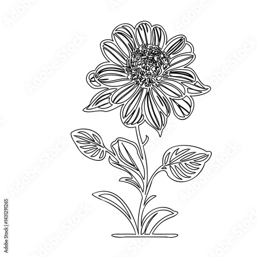 Elegant floral outline illustration, portraying a minimalist artistic style