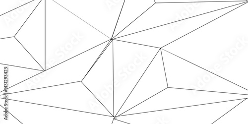 A beautiful Chaotic abstract line seamless pattern .Technology black illustration . Connected lines with dots .graphic background dots with connections for your design, illustration	
