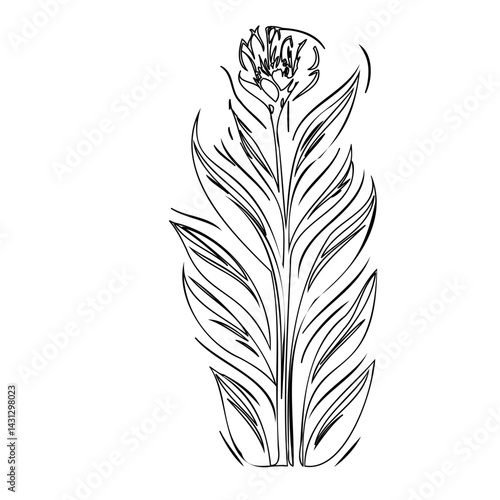 Stylized floral drawing with linear leaves, representing elegance and simplicity