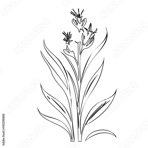 Elegant floral line art illustration with refined simplicity and understated grace