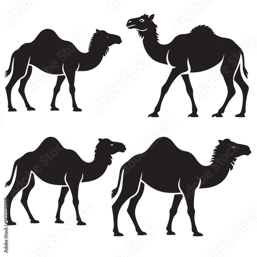 camels silhouettes vector
