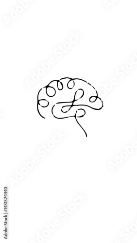 cerebro 