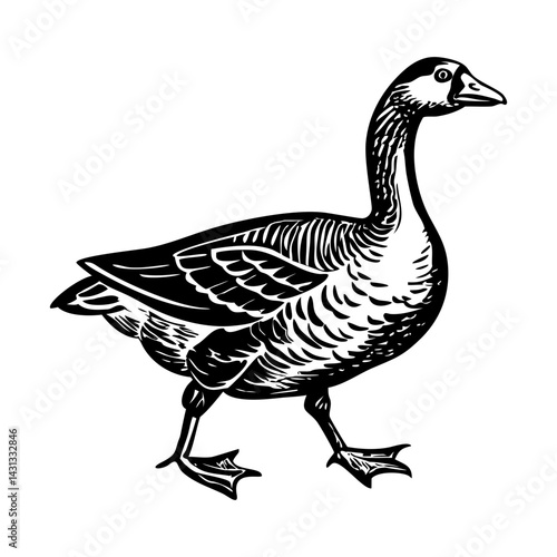 Goose illustration in vintage style