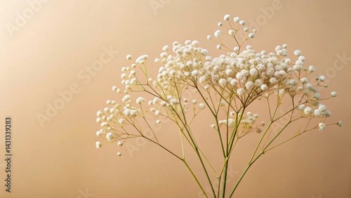 Delicate White Baby's Breath Flowers on a Soft Beige Background, a Simple and Elegant Floral Arrangement Perfect for Wedding Invitations, Greeting Cards, or Home Decor