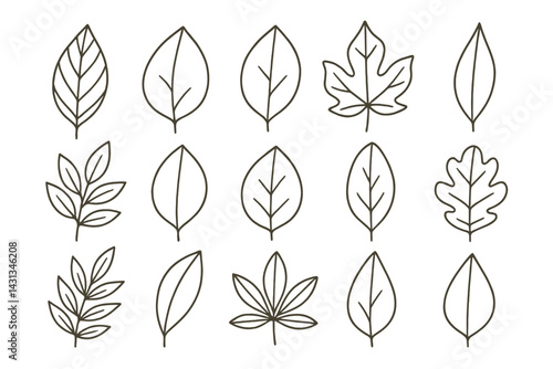 Detailed collection of leaf icons suitable for nature-themed projects and designs with clean outlines