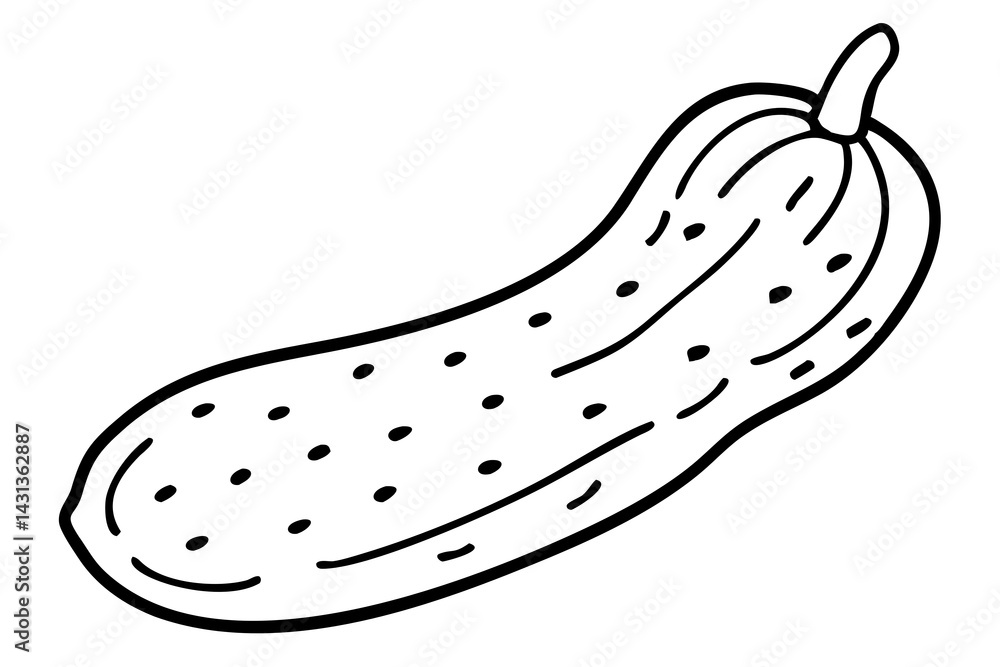 Cucumber Illustration for Fresh Vegetable Art, Garden Produce Sketch, Healthy Food Drawing Cucumber Illustration for Fresh Vegetable Art, Garden Produce Sketch, Healthy Food Drawing